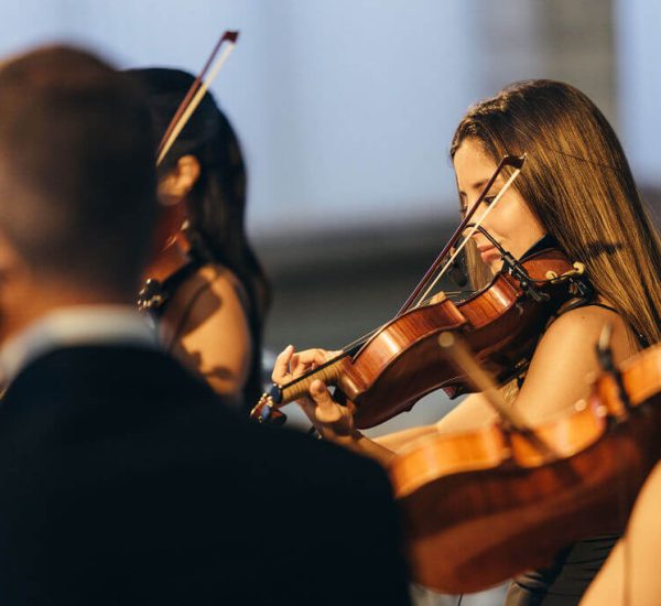 A Festa Aluga organiza eventos como casamentos, eventos corporativos e festas. Os serviços disponíveis são decoração, planning e aluguer de material.